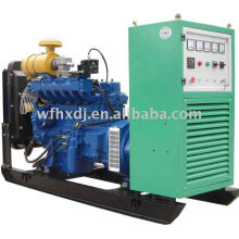 10KW a 1000KW generador de gas con CE ISO